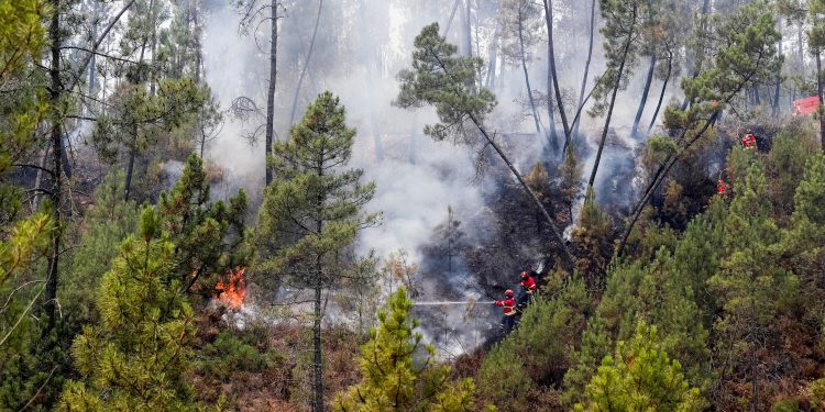 incendios