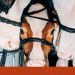 vacas
