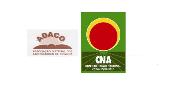 cna e adaco