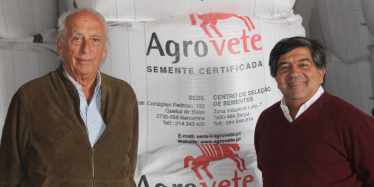 Fernando Carpinteiro Albino