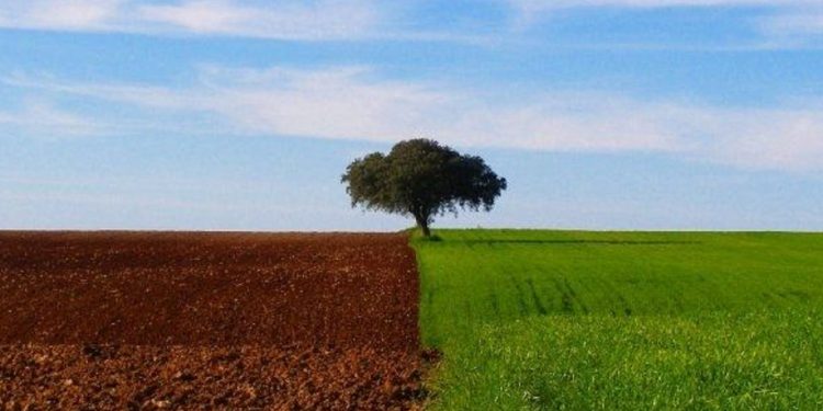 agricultura