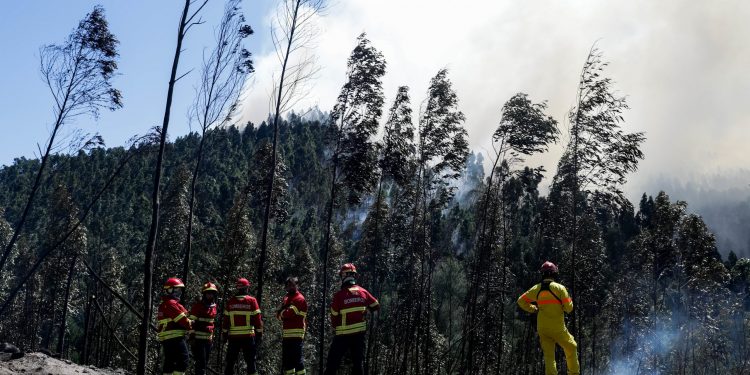 incêndio