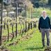 Vinhos biodinâicos