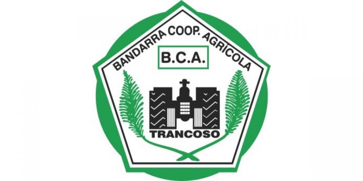 bandarra cooperativa
