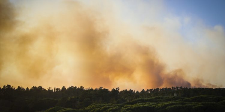incendios