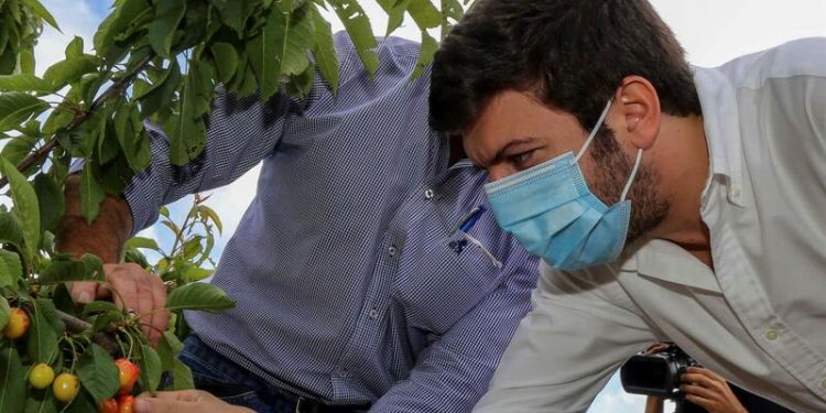 Francisco Rodrigues dos Santos