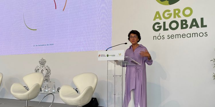 Maria do Céu Antunes