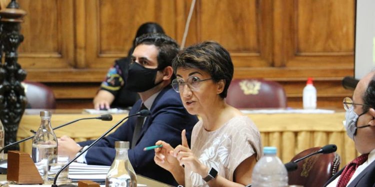 Maria do Céu Antunes parlamento
