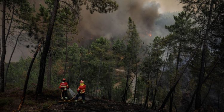 bombeiros