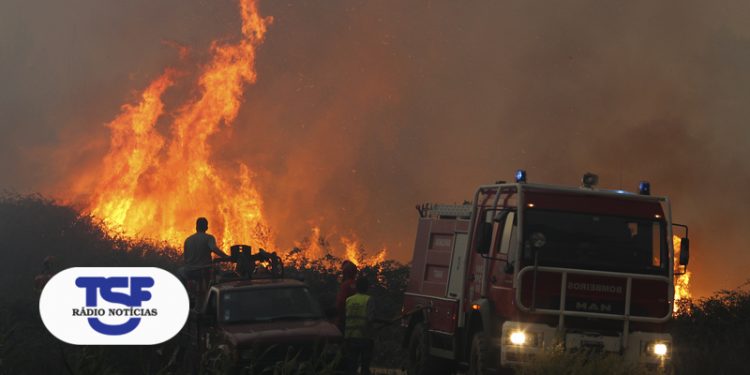 Bombeiros e populares combatem as chamas numa frente de fogo do incêndio em Vila Cã, Pombal, 6 outubro 2017. PAULO CUNHA/LUSA