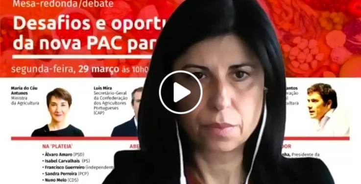teresa silveira webinar