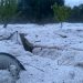 granizo fundão