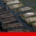 aquicultura