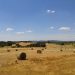 Campo agrícola Trás-os-Montes