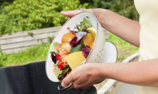 desperdicio alimentar gazeta rural