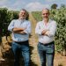 paulo laureano parras wine