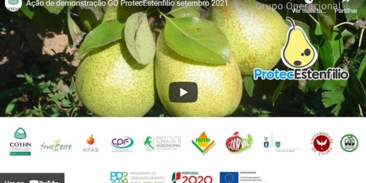 go protectestenfilio