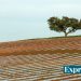 agricultura