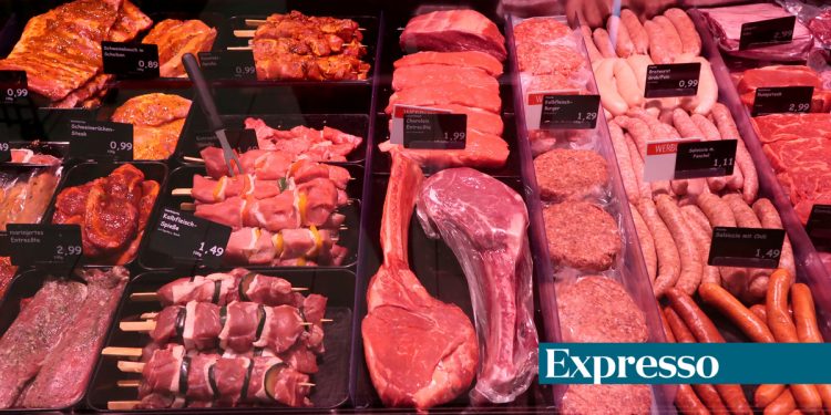 carne