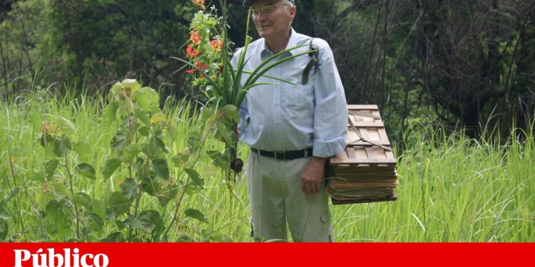 jorge paiva