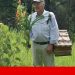jorge paiva