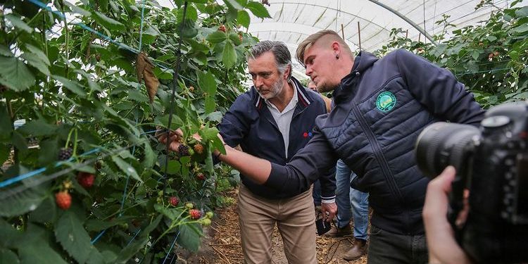 Cotrim Figueiredo liberal