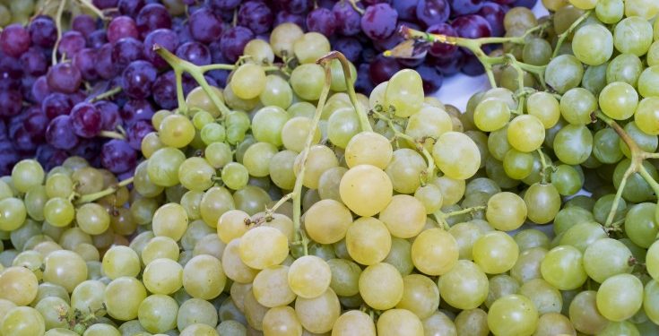 uvas