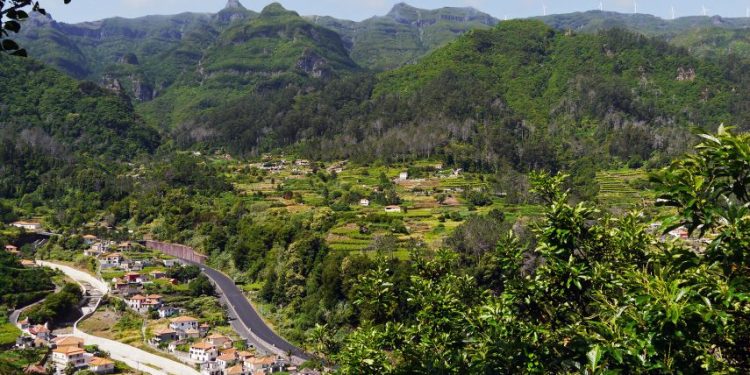 floresta