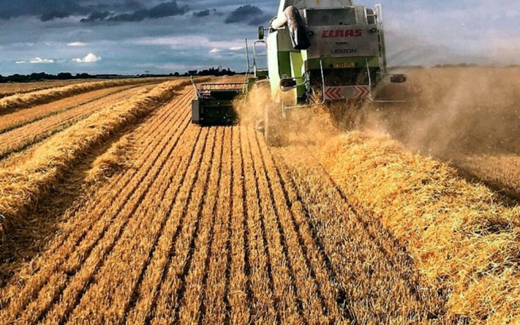 agroinformacion