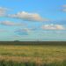 campo rega