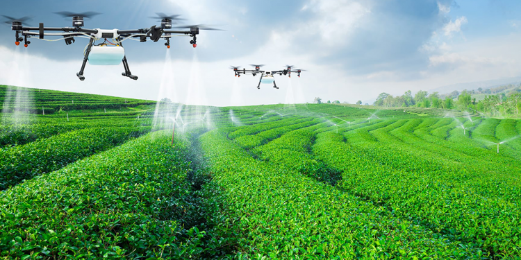 produzir mais e melhor