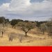 seca