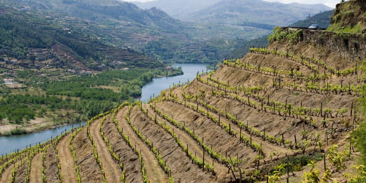 Douro