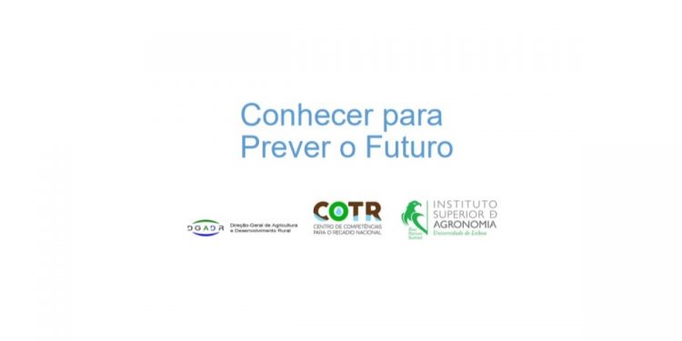 relatorio prever futuro