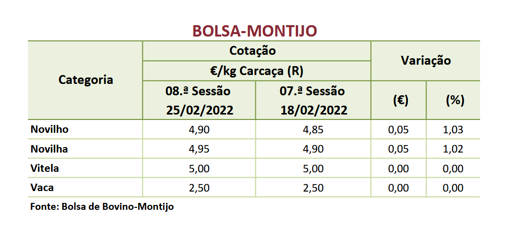 Cotações Bovinos