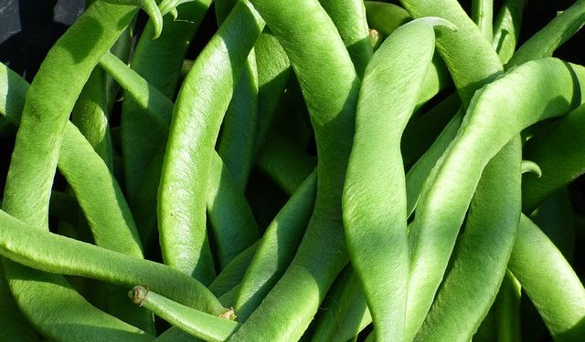 feijoca