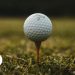 campos golfe tsf