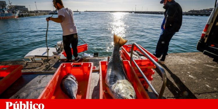 pescas