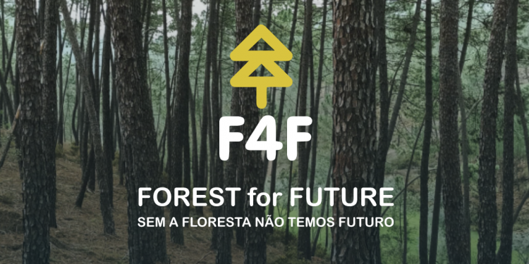 Estratégias de Valorização Ecossistemas Florestais