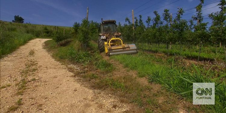 agricultura