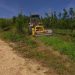 agricultura