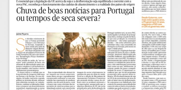 Chuva de boas notícias ou seca severa?