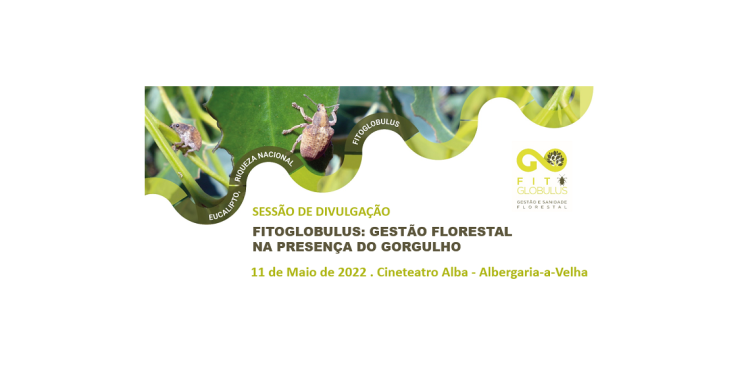 FITOGLOBULUS: Gestão Florestal na Presença do Gorgulho