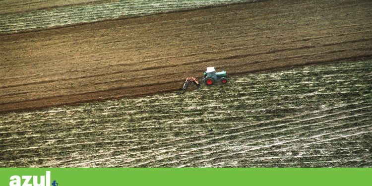 agricultura