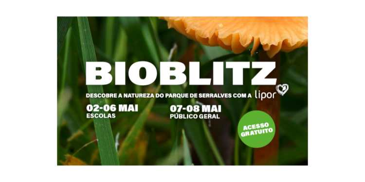 BioBlitz Serralves