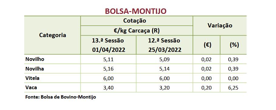 Cotações Bovinos