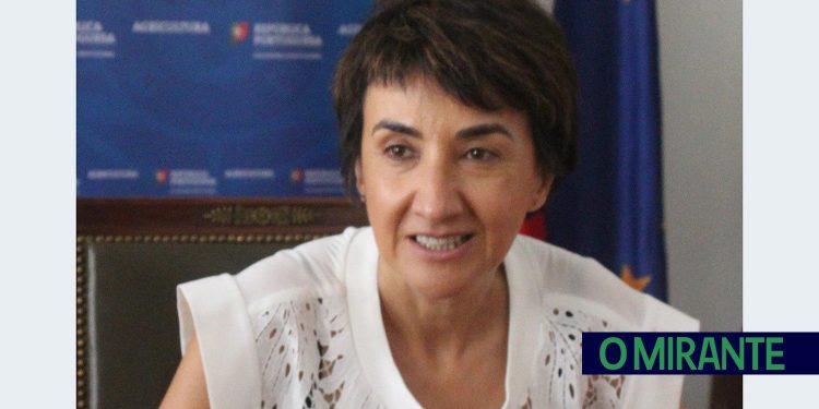 Governo dá explicações sobre fracasso do Centro de Excelência para a Agricultura