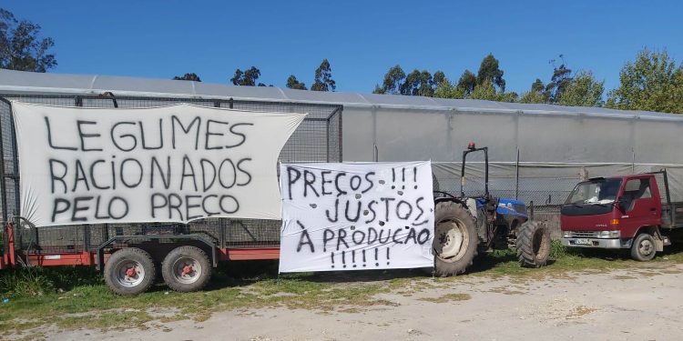 Produtores realizaram manifestação na Estela