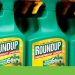roundup glifosato