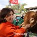 Ministra da Agricultura inaugura Feira de Garvão